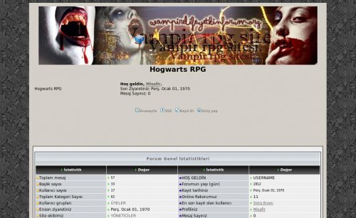 Capture d'�cran du jeu web Hogwarts RPG