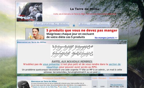 Capture d'�cran du jeu web La Terre du Milieu de Tolkien