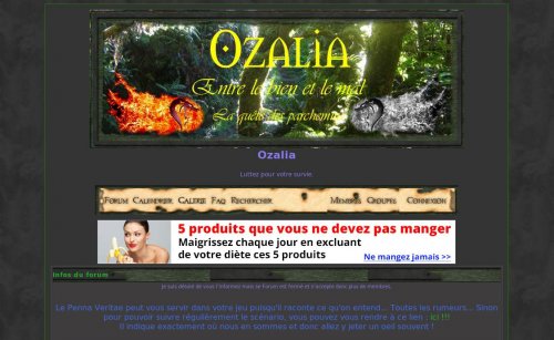 Capture d'�cran du jeu web Ozalia