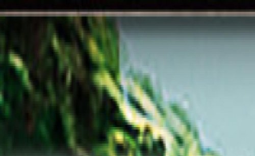 Capture d'�cran du jeu web TorusWar